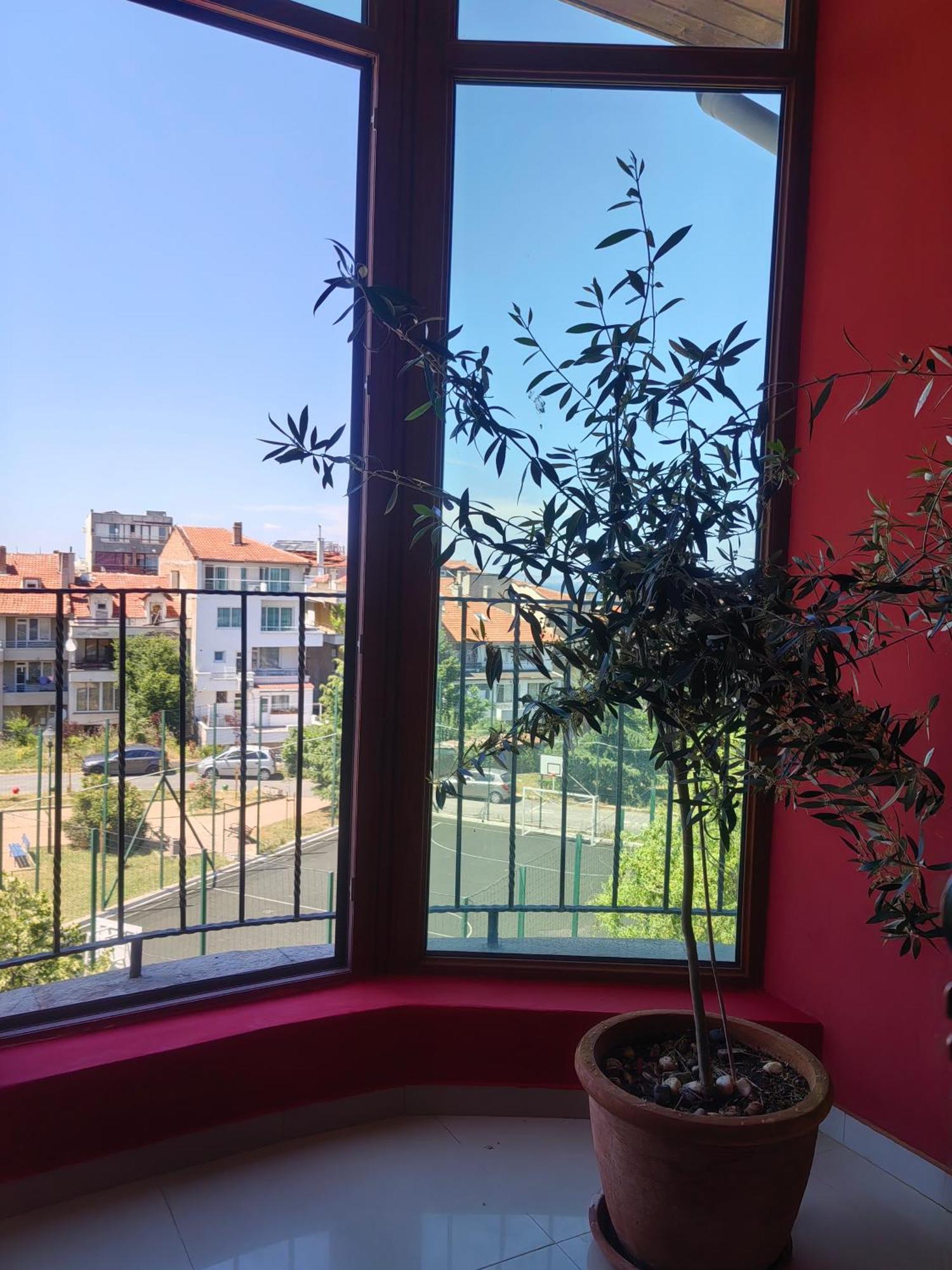 Moreno Süzebolu Dış mekan fotoğraf